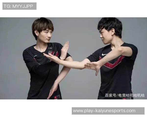 王者荣耀中FPX快攻策略的优势与不足分析